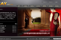 Websiv