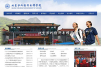 Websiv