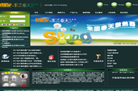 Websiv